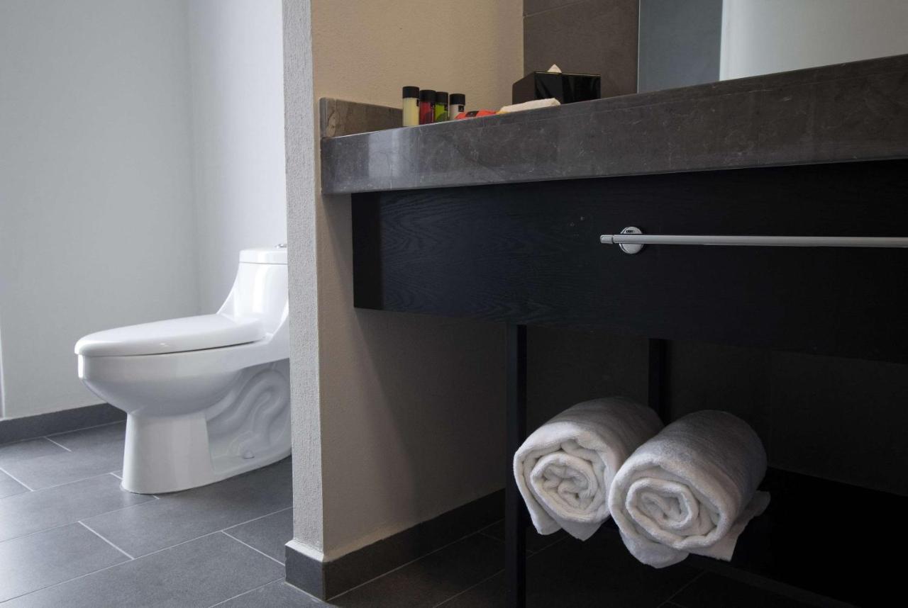 Tryp By Wyndham San Luis Potosi Hotel & Suites Eksteriør billede